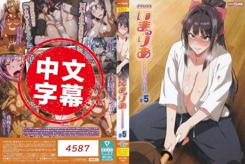 偶像女友墜落NTR 5