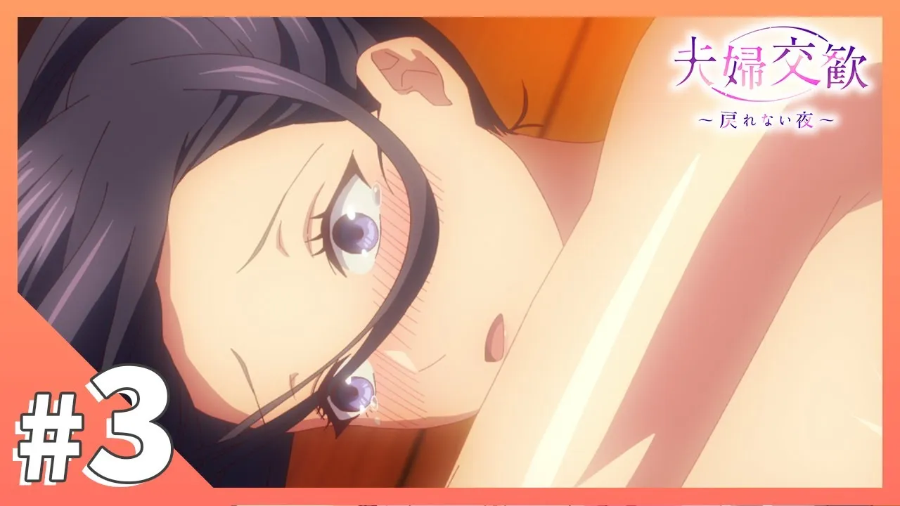 夫婦交歡～回不去的夜晚 3