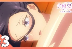 夫婦交歡～回不去的夜晚 3