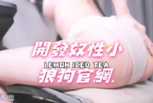 kbj-24070972 開發奴性小狼狗官網