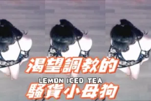 kbj-24101757 渴望調教的騷貨小母狗