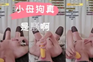 kbj-24110274 小母狗真是騷啊