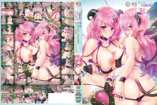 不可思議的國家的魅魔 1