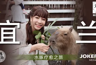 MM-078 水豚療愈之旅