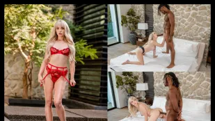 埋頭苦幹 李利·貝爾