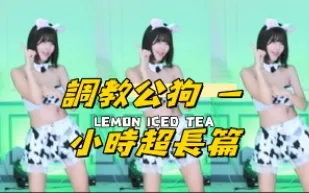 kbj-24070945 調教公狗 一小時超長篇