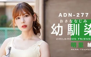 【AV解說】是青梅竹馬還是嫂子？這是個問題