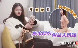 高價網約極品大奶妹