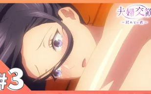 夫婦交歡～回不去的夜晚 3