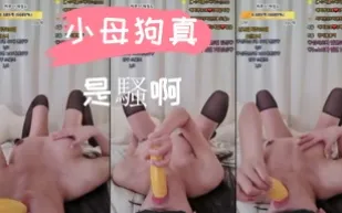 kbj-24110274 小母狗真是騷啊