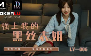 LY-006 強上我的黑絲表姐