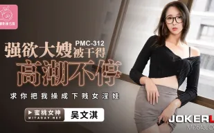 PMC-312 強欲大嫂被幹得高潮不停 求你把我操成下賤女淫娃