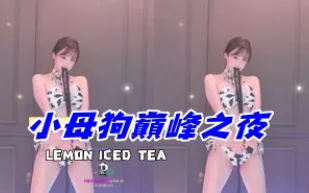 kbj-25020357 小母狗巔峰之夜