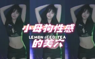 kbj-24110216 小母狗性感的美穴