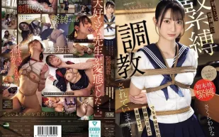 【無碼/去除馬賽克】IPZZ-653 我愛上了我的老師，並向他坦白了我的心意，所以作為懲罰，我放學後被綁起來接受訓練……但我很高興成為他的奴隸。