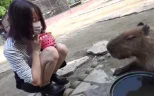 FC2PPV-4265371 女大學生帶入森林深處戶外猥褻口中射精